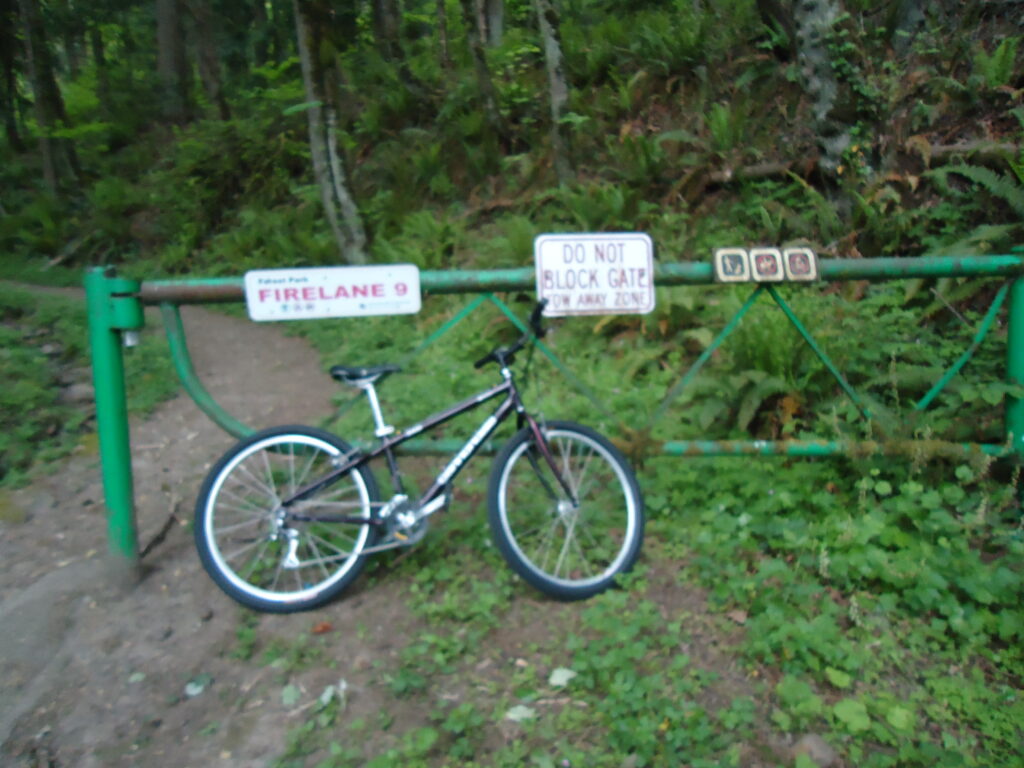 リベンジを誓った日